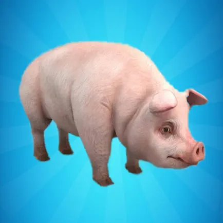 Pig Simulator Читы