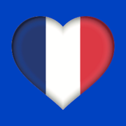 20 French Dictionaries