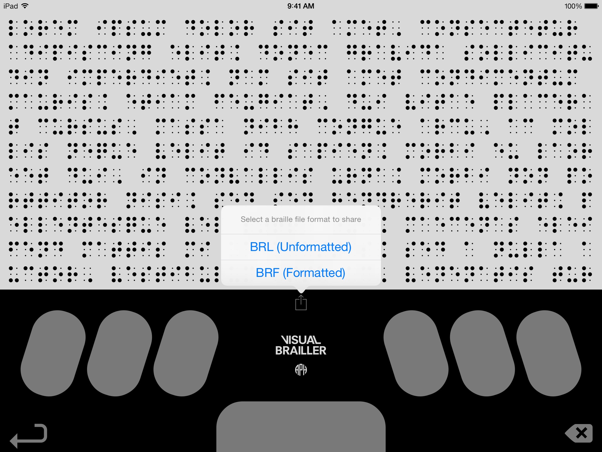Visual Brailler screenshot 2