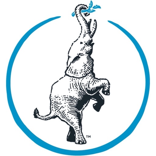 Reforming Foundations Pilates