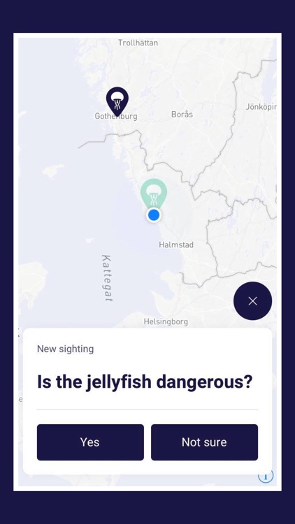 JellyFinder