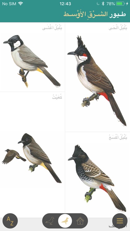 دليل الطيور في الشرق الأوسط