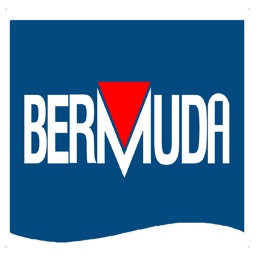 BERMUDA-Pumps