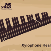 Xylophone Real: 2 mallet types