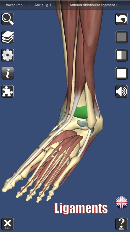 3D Anatomy screenshot-3