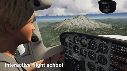 screenshot of Aerofly FS 2020 2