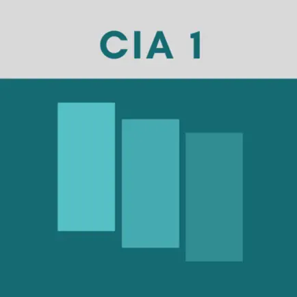 CIA Part 1 Exam Flashcards Cheats