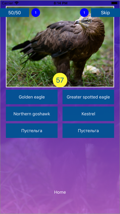 Bird Quiz - Name the Bird! screenshot 4