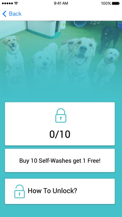 Soggy Dog Salon & Suites screenshot 3
