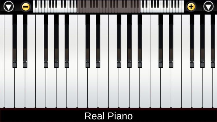 i Real Piano screenshot-5
