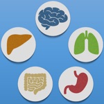 Metabolic Organs