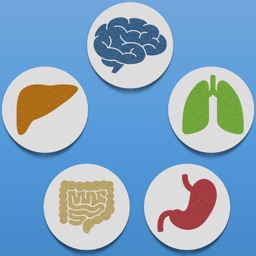 Metabolic Organs