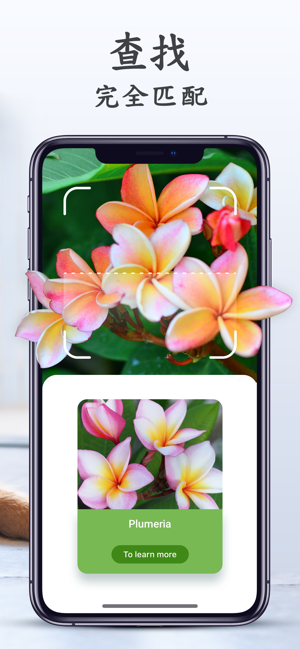 NatureID - 拍照識別植物、貓、狗(圖2)-速報App