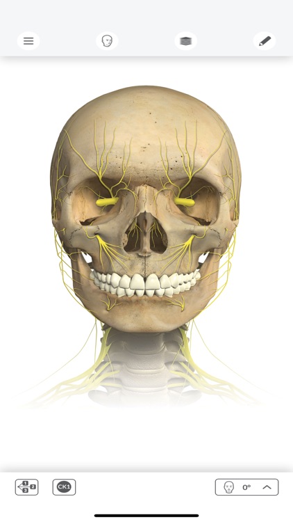 Interactive Anatomy - PT screenshot-4