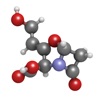 QuizOfEnzyme