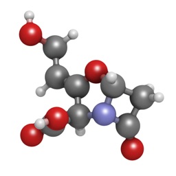 QuizOfEnzyme