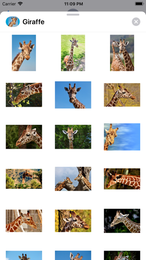 Lotsa Giraffe Stickers(圖1)-速報App