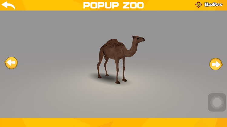 Popup Zoo