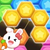 Hexa Puzzle - classic