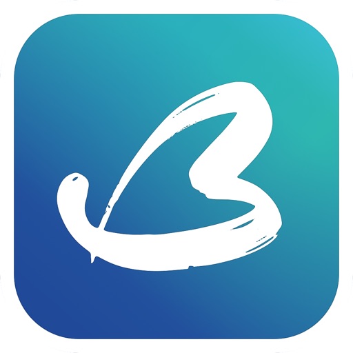BeCasso: Photo to Painting App