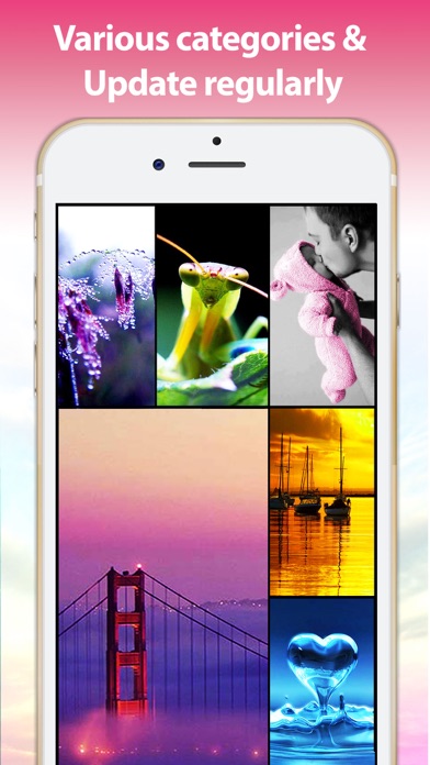 How to cancel & delete Wallpapers HD - Cute Themes, Backgrounds, Images & Lock Screens from iphone & ipad 4