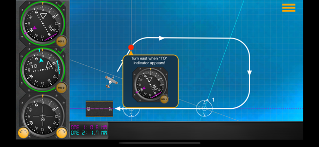 FlyGo HSI (IFR) Instructor