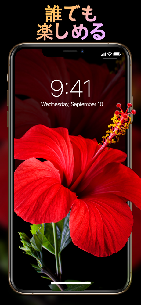 Live Wallpapers ダイナミック壁紙 と 背景 Overview Apple App Store Japan
