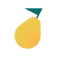 Pyrus · Team Communication на пк