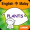 Plants (English, Malay, Chinese)