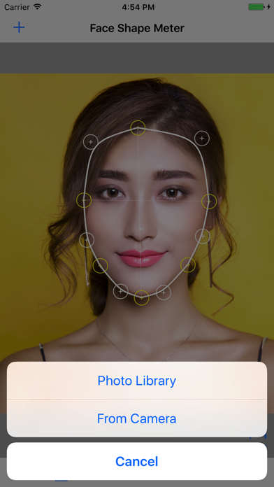 Face Shape Meter from picture Screenshots