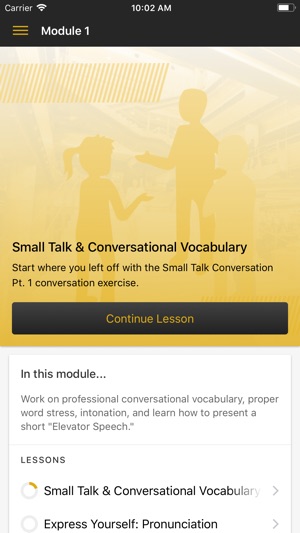 Speak English Professionally(圖3)-速報App