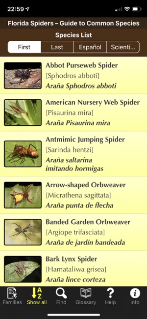 Florida Spiders(圖4)-速報App