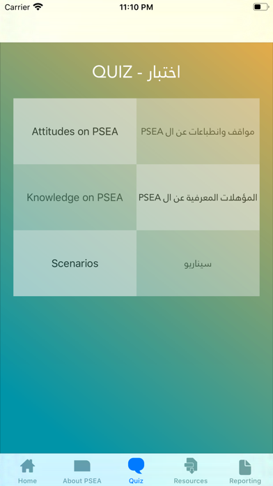 PSEA Lebanon screenshot 4