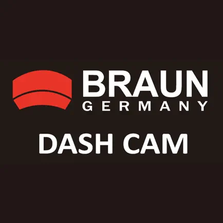 BRAUN DASH CAM Читы