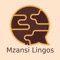 Learn the 11 South African languages all in one app