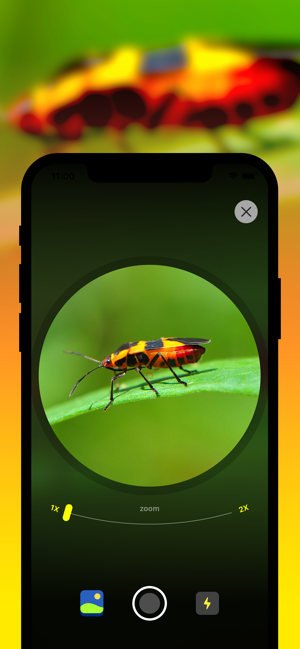 ‎Insect Identification Screenshot