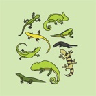 Top 30 Education Apps Like Animals : Reptiles Quiz - Best Alternatives