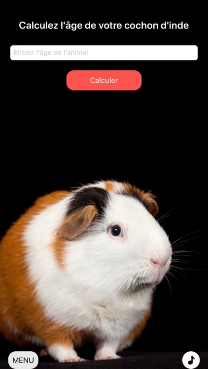 animalsAge screenshot-5