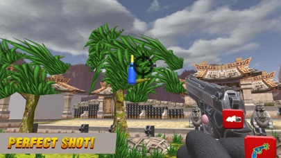 Xtreme Bottle Shooter Pro screenshot 3