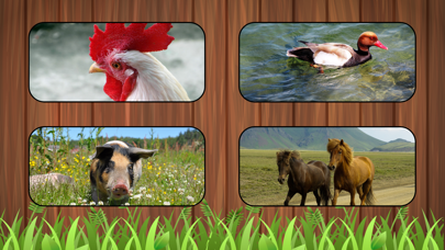 How to cancel & delete Listen Farm Animals from iphone & ipad 4