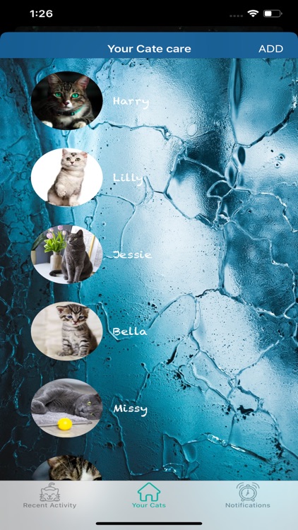 MyCat Care screenshot-3