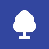 Baum-App Gelsenkirchen Erfahrungen und Bewertung