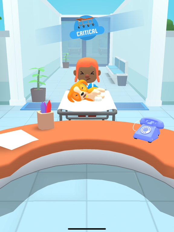 iPad Image of Hospital Inc.