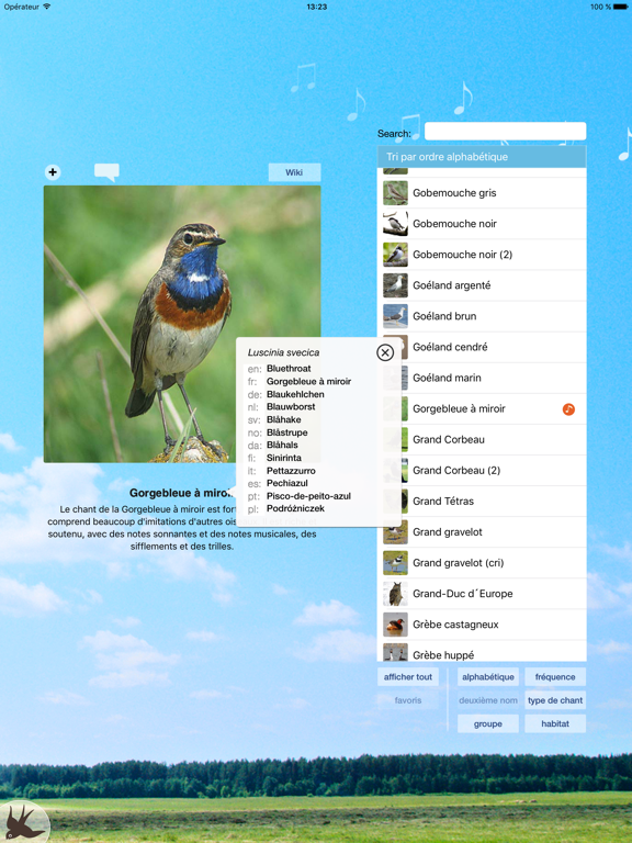 Cui-cui! Chants d'oiseaux Cui-cui! Chants d'oiseaux