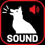 狗 吠 声音 按键 2020