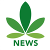 Cannabis News Network - QoQ Media