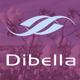 Dibella