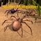 *****Spider World Multiplayer***** 3D Real Time Simulator