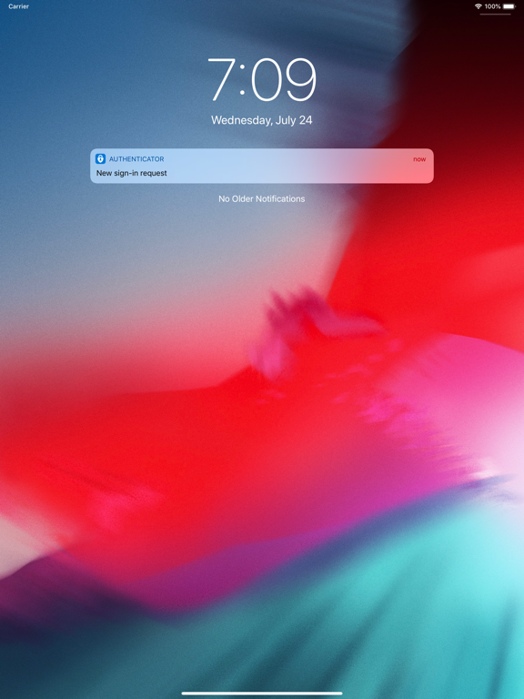 iPad Image of Microsoft Authenticator
