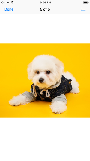 Pets In Costume(圖5)-速報App